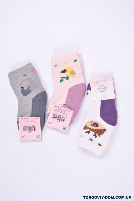 Шкарпетки для дівчинки махрові (1-2) "KBS" розмір 16-18 арт.3-20253