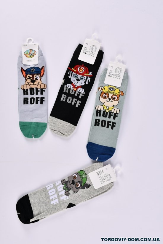 Шкарпетки для хлопчика вік 4-8 років (65% cotton, 30% polyester, 5% spandex) арт.M102-1