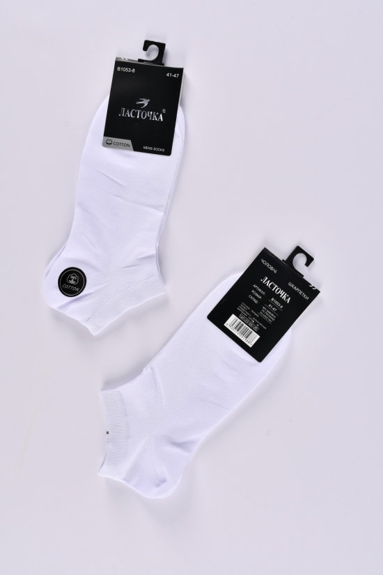 Шкарпетки чоловічі всесезонні "Ластівка" розмір 41-47 (90% cotton, 5% polyamide, 5% elasta арт.B1053-8